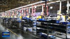 贯彻落实市委六届十一次全会丨张湾区：加快动