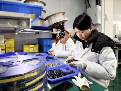 <b>铜陵郊区经开区：沉点企业“马不停蹄”赶订单</b>